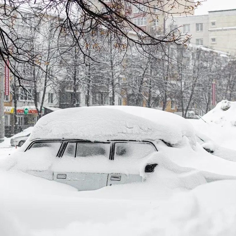 снежный коллапс 1